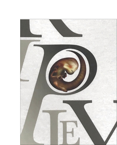 Alien 3 T Shirt £26.99